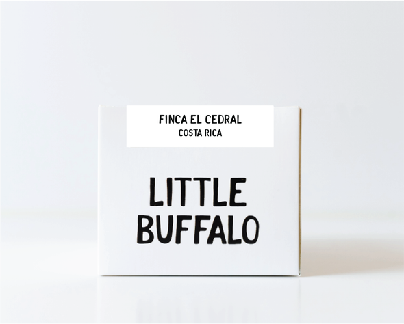 Costa Rica - Finca El Cedral Natural *New*