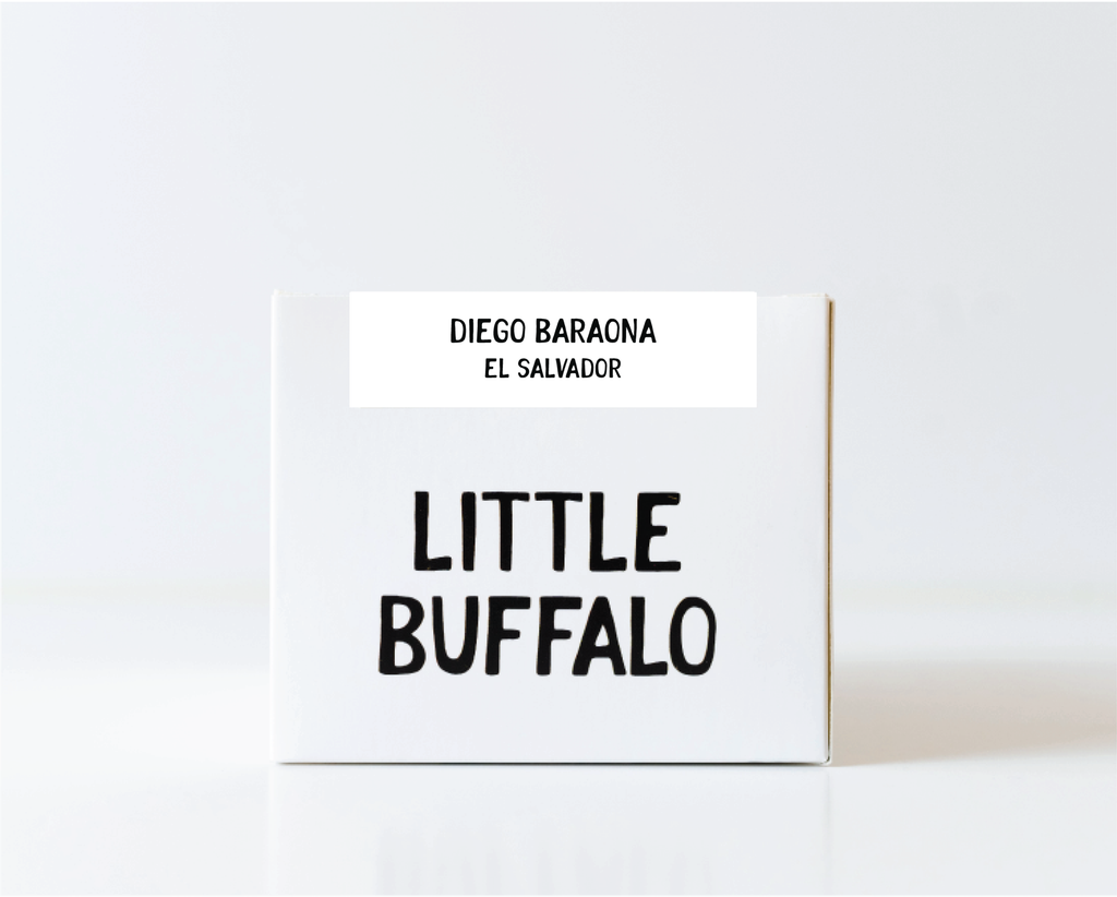 El Salvador - Diego Baraona - Black Honey *New*