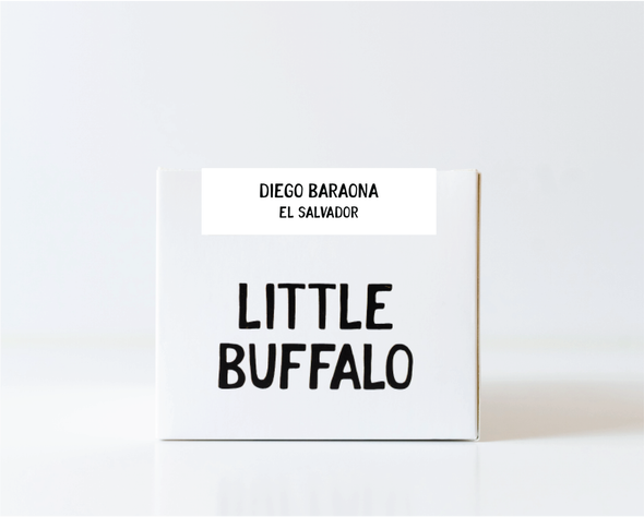 El Salvador - Diego Baraona - Black Honey *New*