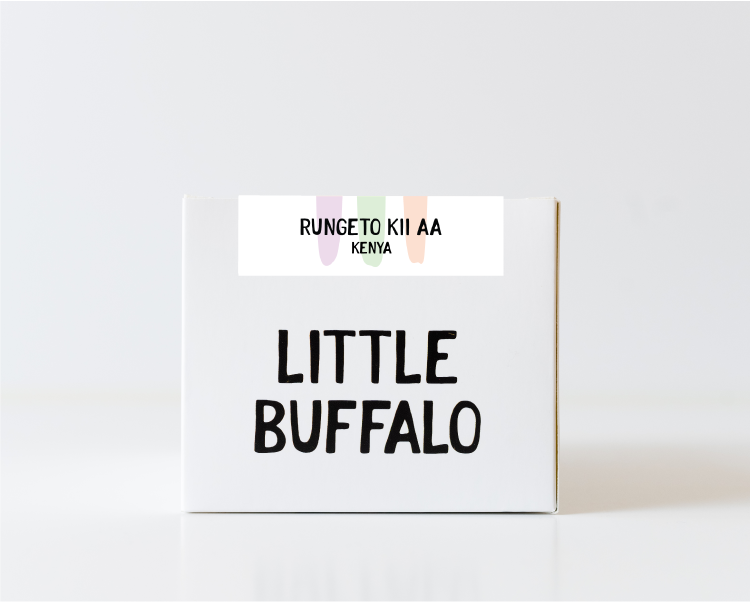 Kenya - Rungeto Kii AA – Little Buffalo Coffee Roasters