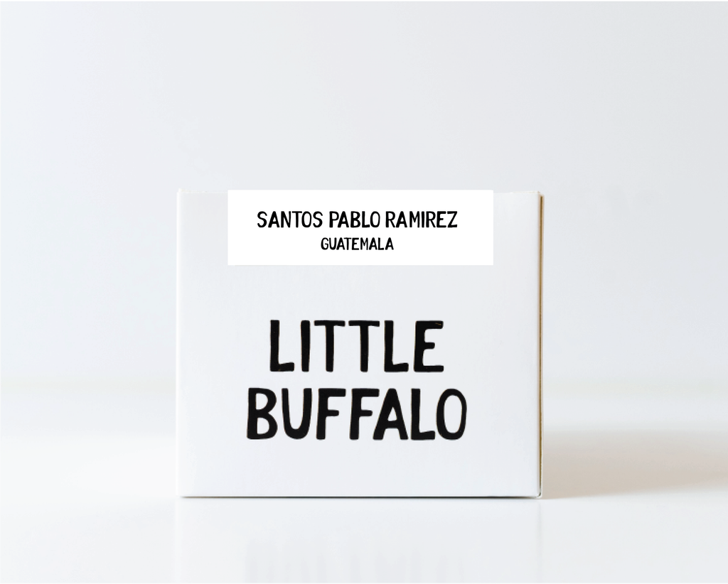 Guatemala - Santos Pablo Ramirez - Washed *New*